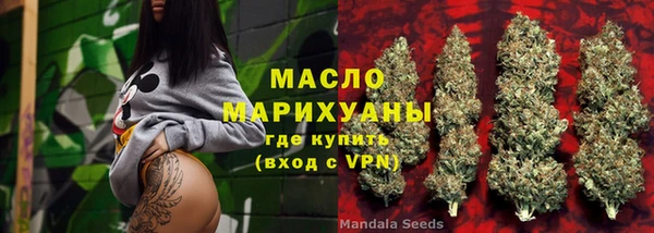 стаф Медногорск