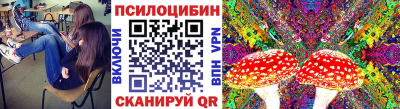 Псилоцибиновые грибы GOLDEN TEACHER  купить наркотики сайты  Курган 